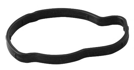 MOTORAD MG-481 Gasket, thermostat housing
